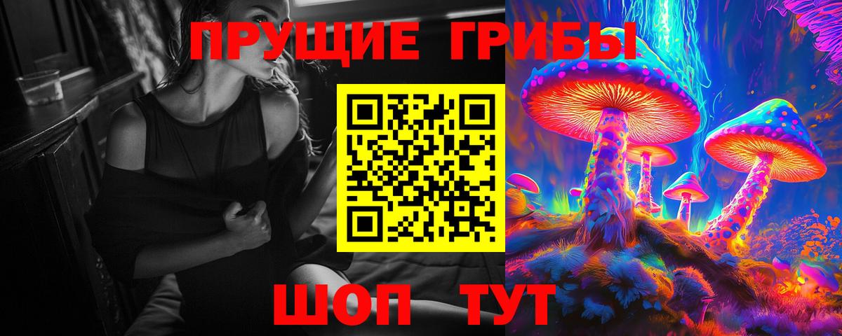 Галлюциногенные грибы GOLDEN TEACHER Моздок